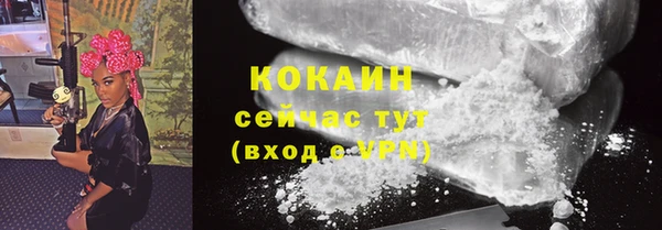 мдпв Кулебаки