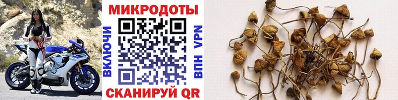 Галлюциногенные грибы GOLDEN TEACHER гидра ССЫЛКА дарк нет Telegram Власиха